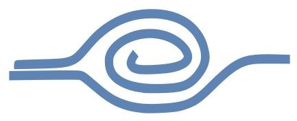Eye Detect logo